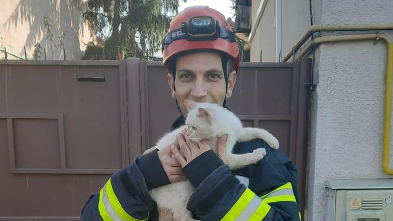 FOTO. Pisică salvată de pompierii sătmăreni. Felina nu a mai putut să coboare din copac
