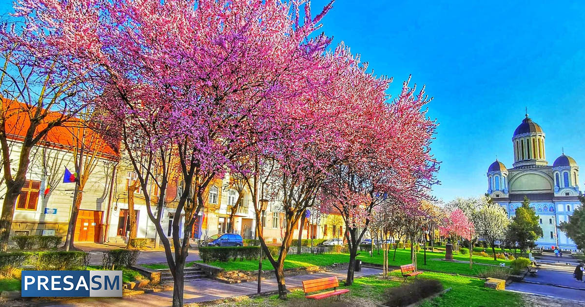 Revin ploile și scad temperaturile. Prognoza meteo pentru Satu Mare
