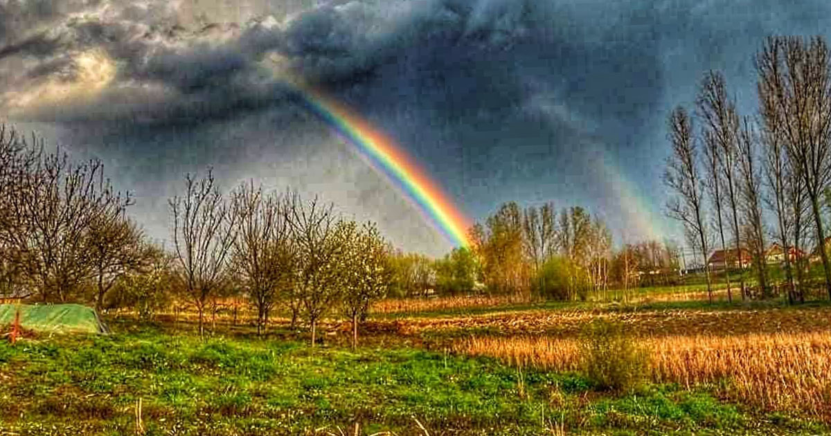 Ce spun meteorologii. Când se încălzește vremea la Satu Mare