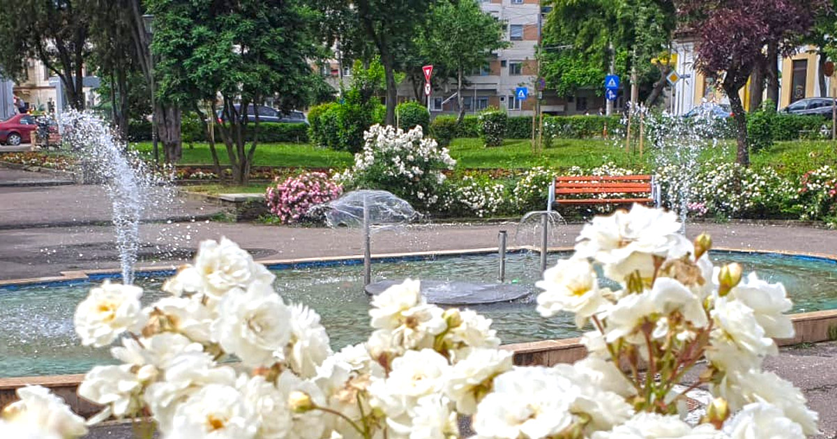 Cum va fi vremea la Satu Mare în următoarele două săptămâni. Când revin precipitațiile