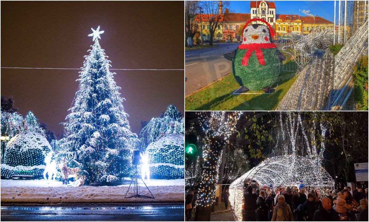 Lista incidenței în județ. Municipiul Satu Mare, sărbători de iarnă în scenariul verde. Posibile relaxări suplimentare
