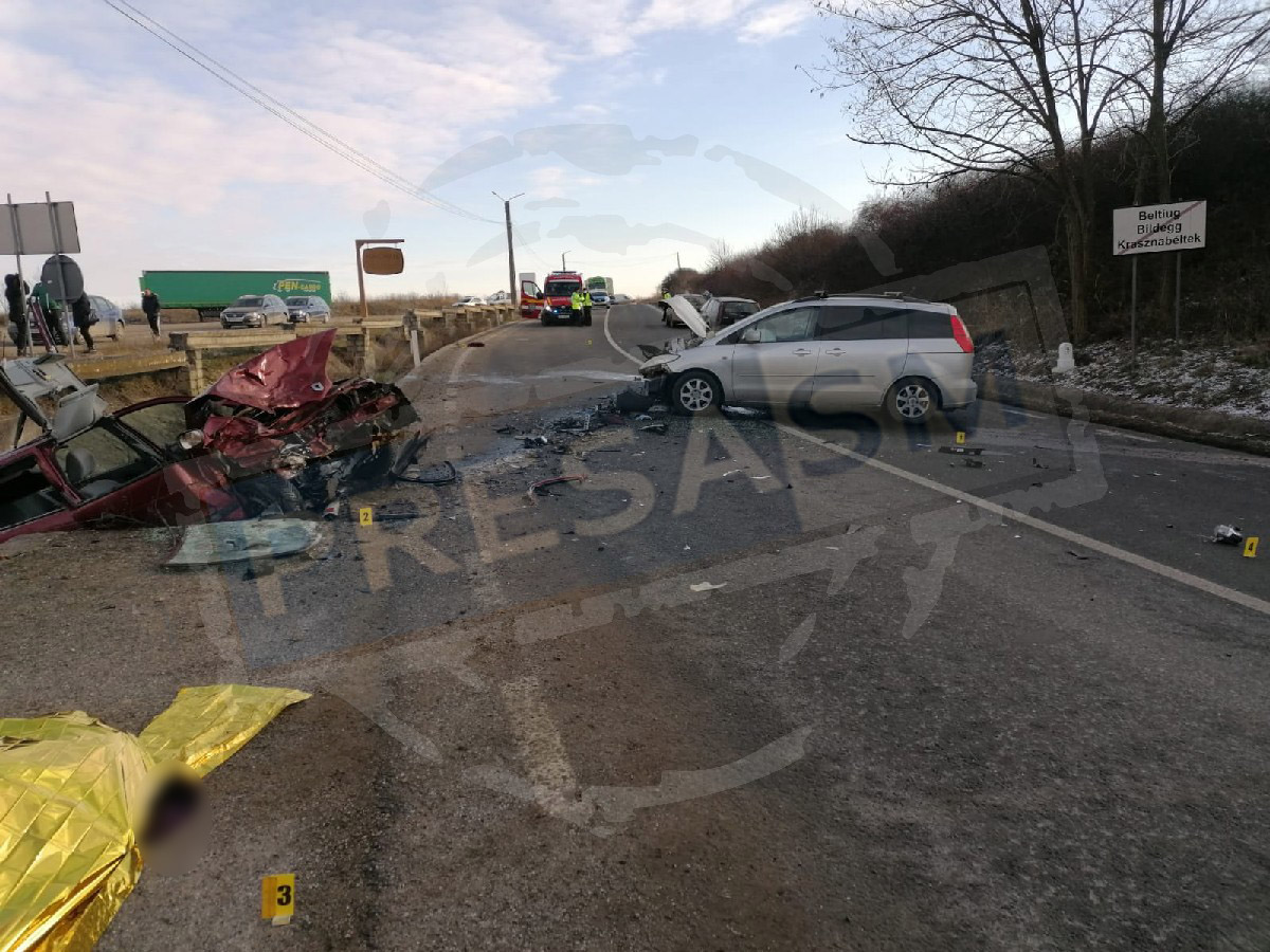 FOTOGALERIE. Poliția explică cum s-a produs accidentul mortal din județul Satu Mare