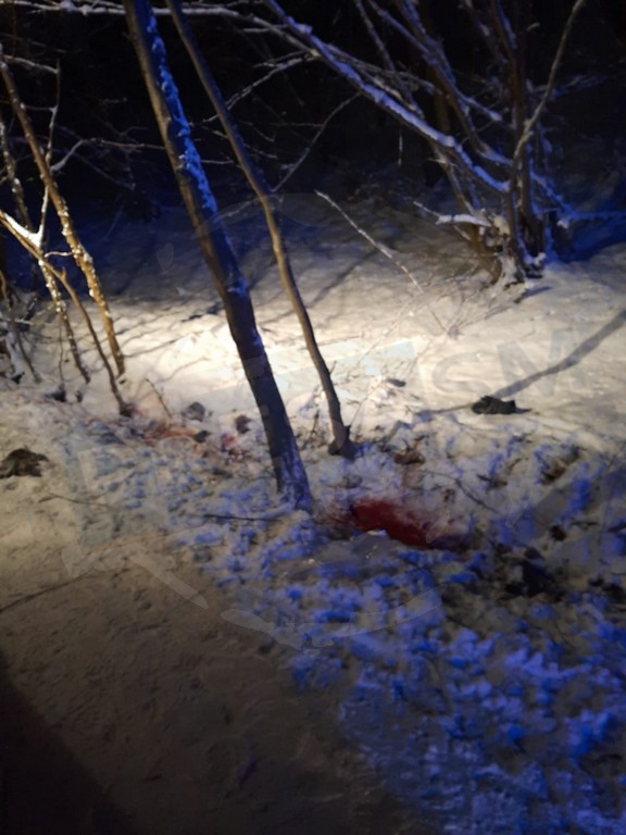 accident-mortal-iarna-trasi-dupa-masina-3.jpg