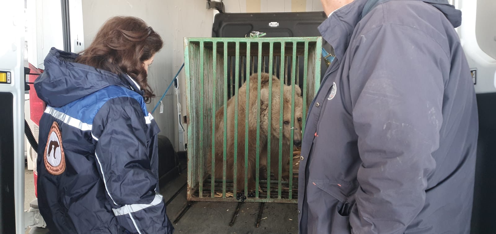 FOTO. Transport special la Halmeu. Ursoaica Masha, salvată de captivitate și război