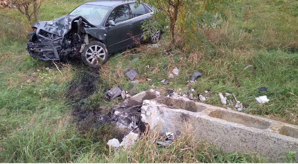 SATU MARE. S-a urcat beat la volan, a evitat un câine și s-a oprit cu BMW-ul într-un stâlp