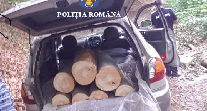 Fotó. „Hatalmas” fogás! Fatolvajokra „csaptak le” a hatóságok az Avasban