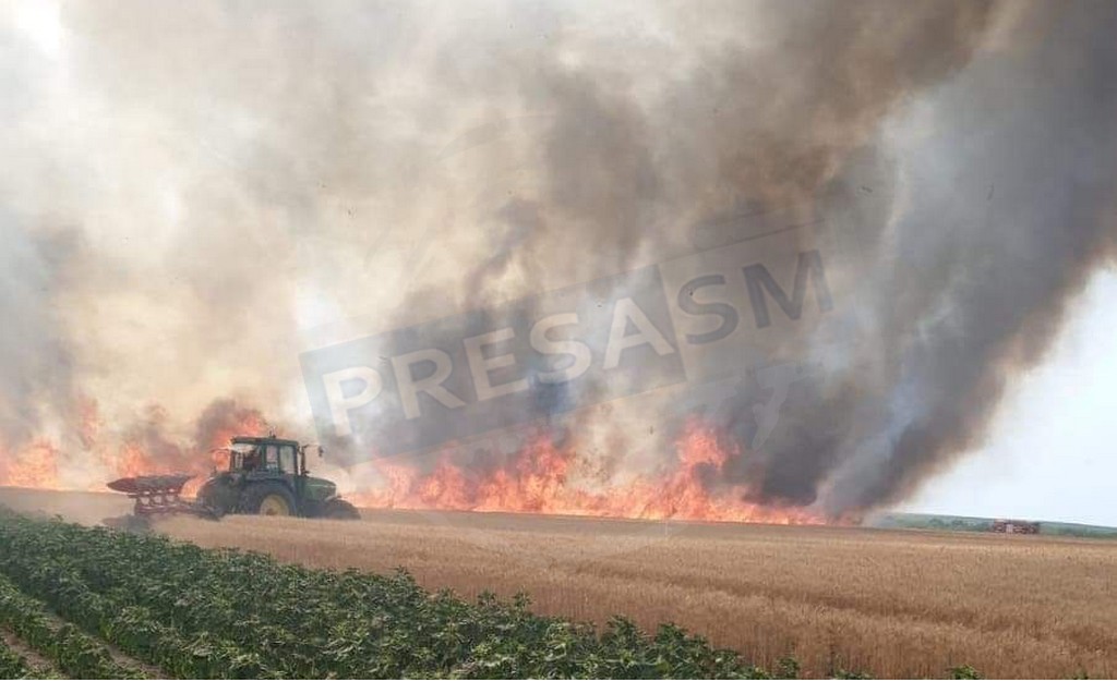 FOTO. Incendiu uriaș în județ! Zeci de ha de grâu distruse, mașină de Pompieri avariată