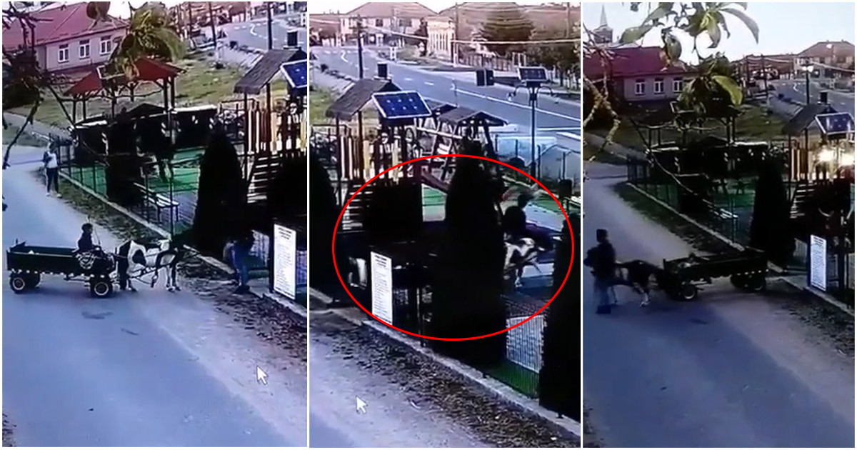 Videó. Akár a Vadnyugaton. Szekérrel érkezett a játszótérre a szatmári férfi