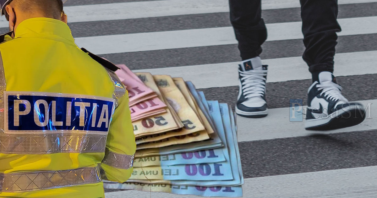 Avere furată din casa unei sătmărence. Fiul și un verișor au luat zeci de mii de euro