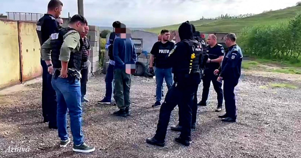 Percheziții cu surprize în județul Satu Mare.    Polițiștii au găsit mai multe decât s-ar fi așteptat