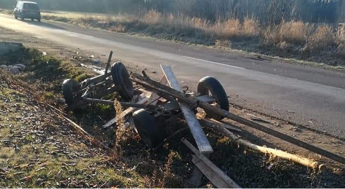Sătmărean reținut după ce și-a bătut calul! A ajuns cu căruța în șanț, iar animalul nu a mai rezistat