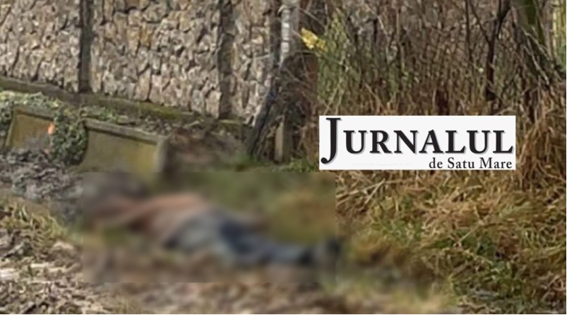 FOTO. Descoperire dramatică în județul Satu Mare. Bărbat găsit decedat într-un șanț