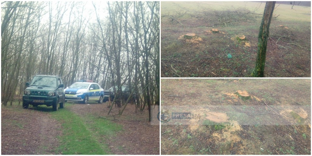 Sătmărean fără permis, prins la furat de lemne. Și-a abandonat fratele (11 ani) în mașină, la marginea pădurii