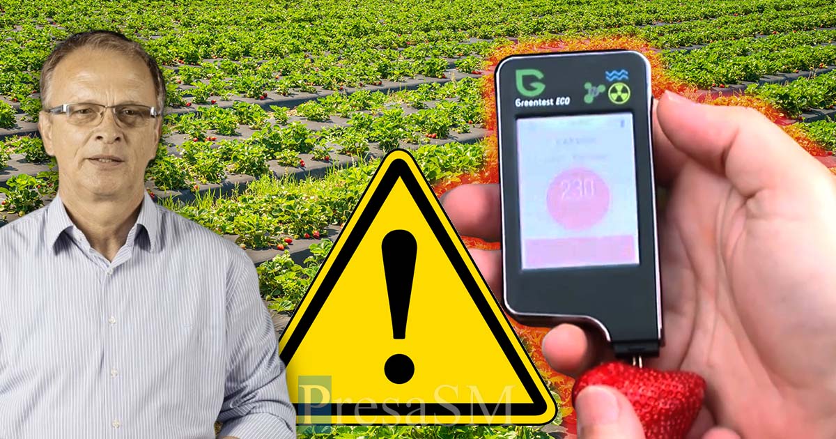 FOTO. Consumatori avertizați cu privire la căpșunile din Satu Mare. Ar fi pline cu pesticide