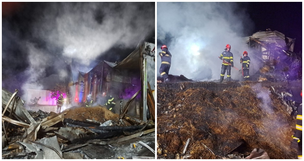 FOTO/VIDEO. Incendiu la o fabrică din județul Satu Mare! Hale și utilaje distruse, pagube uriașe