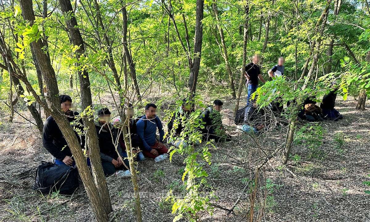 Penali din tată-n fiu! Tatăl, fiul și nepotul, implicați într-o amplă rețea infracțională