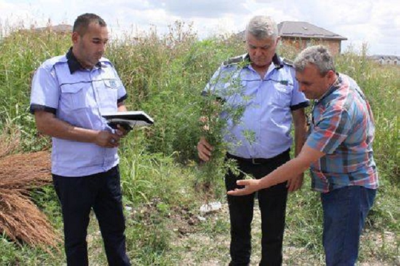 Avertizarea transmisă de Primăria Satu Mare. Amenzile ajung la zeci de mii de lei. Sătmărenii, rugați să facă sesizări