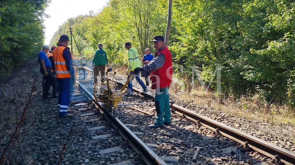 FOTO/VIDEO. Cale ferată avariată, pe sute de metri, după ce locomotiva a lovit o turmă de oi, în județul Satu Mare