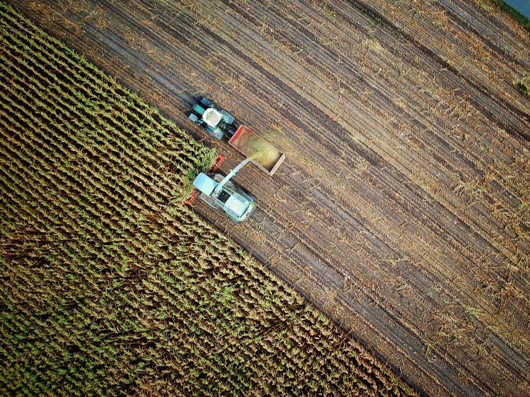 Cum să ne adaptăm la cerințele în creștere din industria agricolă? 4 pași pentru o muncă eficientă