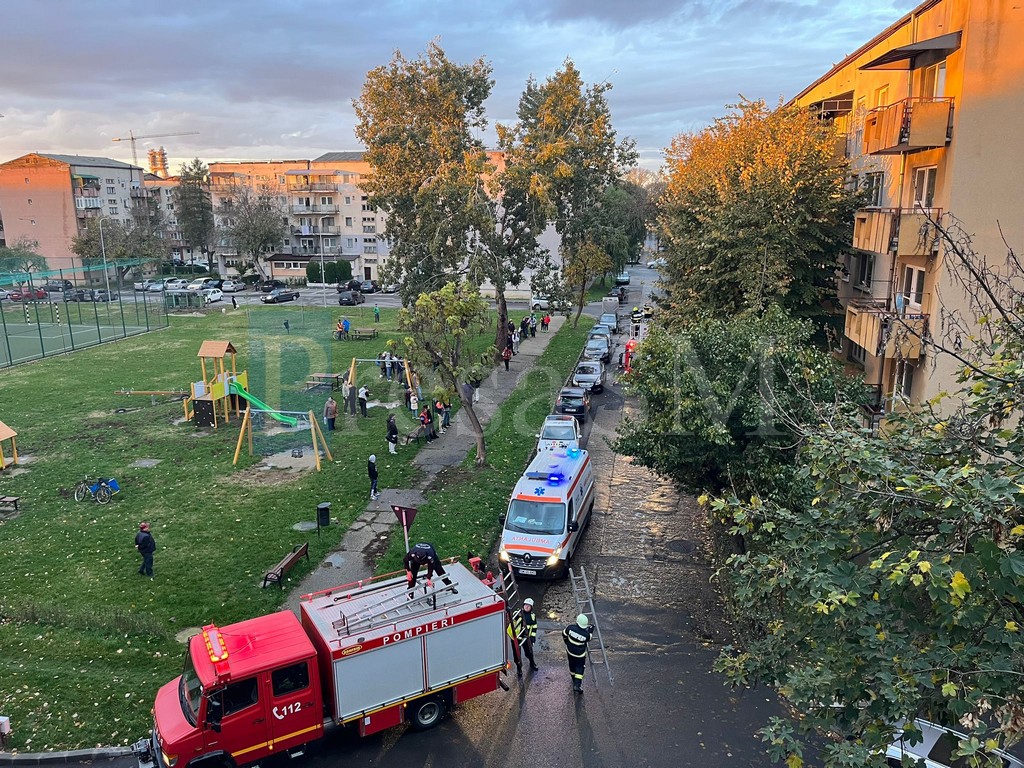 Mamă din municipiul Satu Mare, protejată de instanță împotriva propriilor copii. Au bătut și vecinii