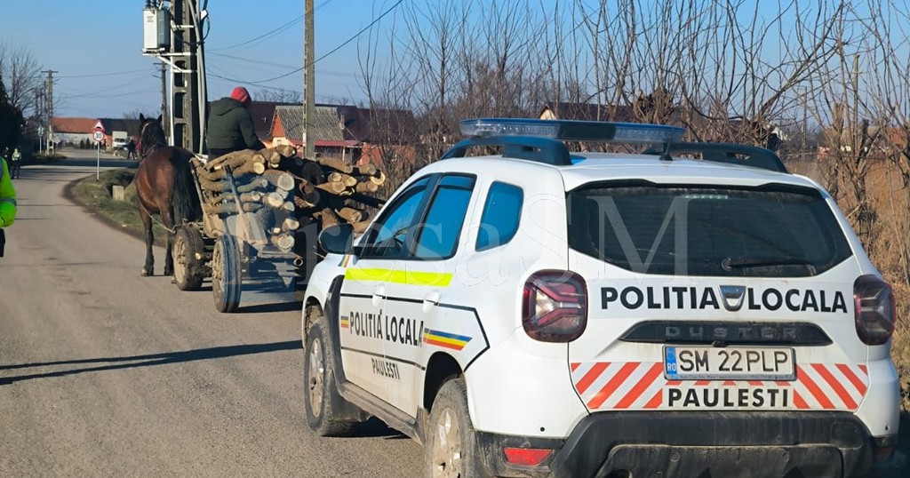 Lemne de aproape 200.000 lei, confiscate de polițiștii sătmăreni după două zile de razii pe șosele