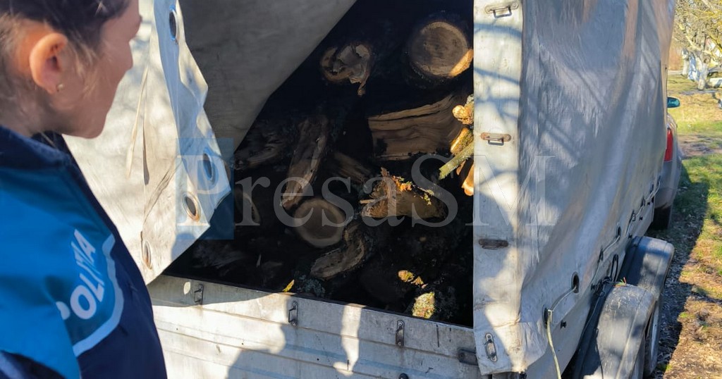 Polițiștii sătmăreni, controale la transportatorii de lemne. Cum a reușit un sălăjean să păcălească sistemul timp de doi ani de zile