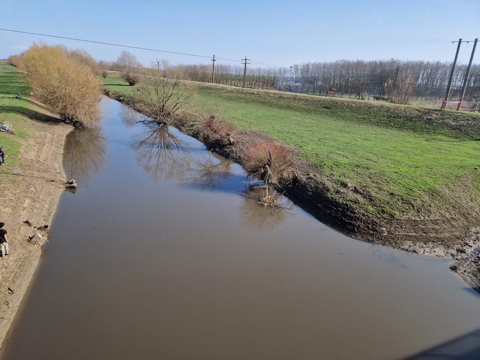 FOTO. Pești morți pe râul Crasna, din cauza poluării. Au fost informate și autoritățile din Ungaria