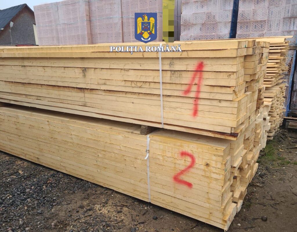 RAZII. Polițiștii explică cum operează mafia lemnului în județul Satu Mare