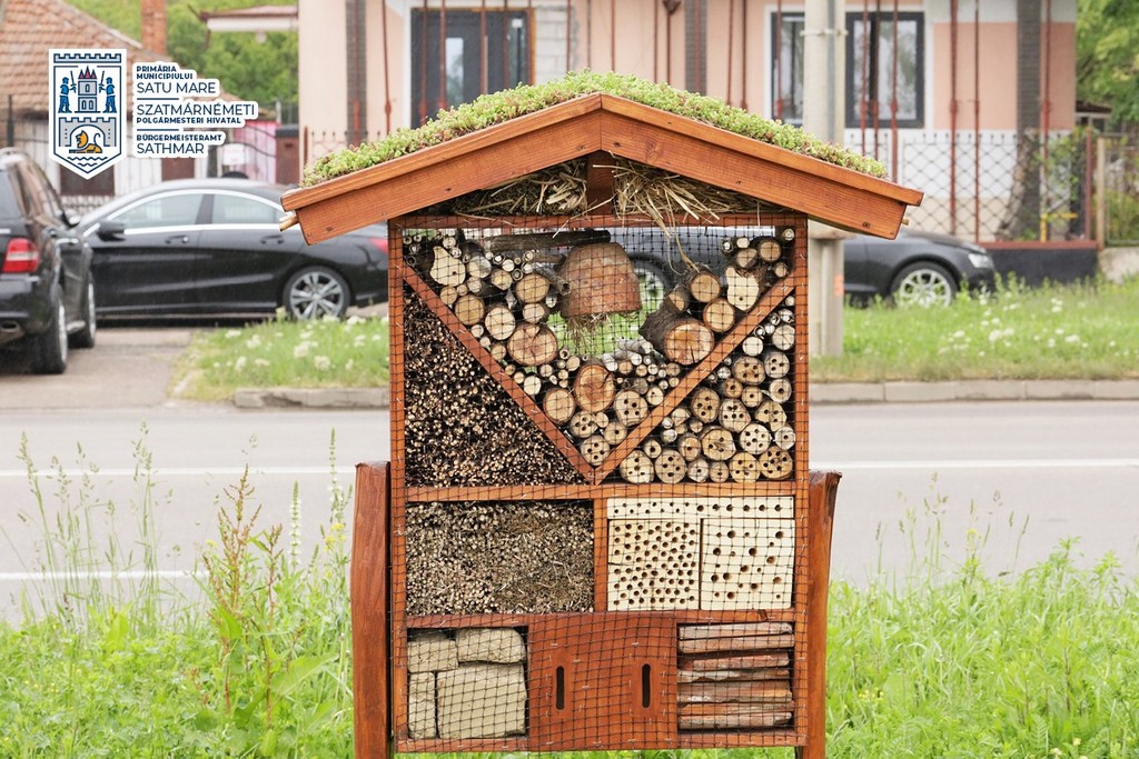 FOTO. Ce sunt hotelurile pentru insecte. Au apărut și pe spațiile verzi din Satu Mare