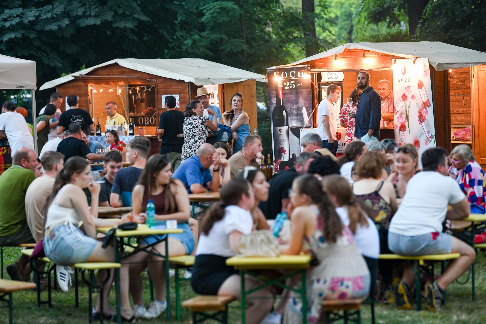 Castel vinum, programat pentru 27-28 iulie, la Carei