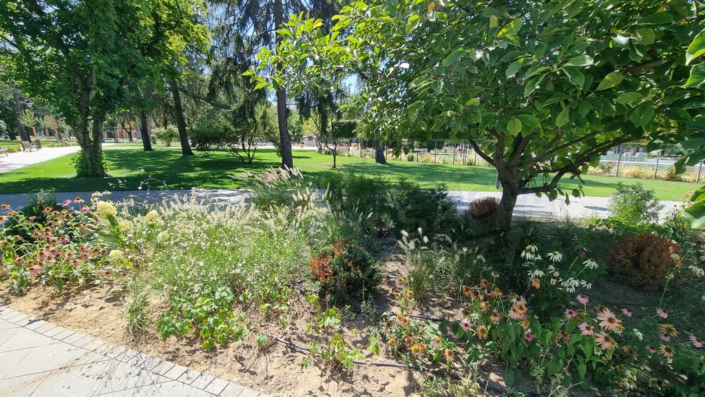 florisal-parc-centrul-vechi-satu-mare-2.jpg
