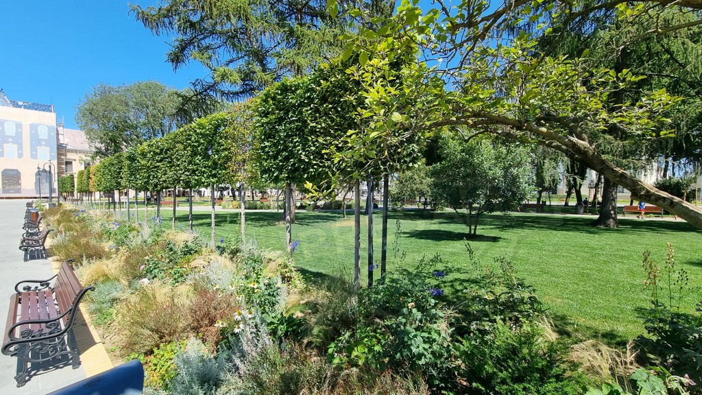 florisal-parc-centrul-vechi-satu-mare-4.jpg