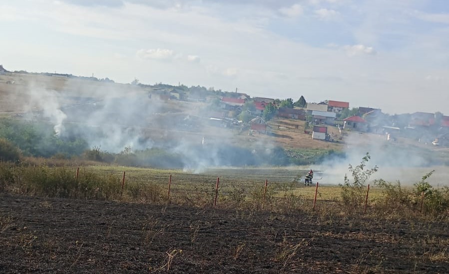 Incendii de vegetație pe hectare întregi, în mai multe zone din județul Satu Mare
