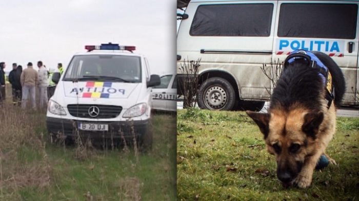 Incredibil, dar adevărat: hoții au furat inclusiv câinii de pază ai unei ferme din Satu Mare