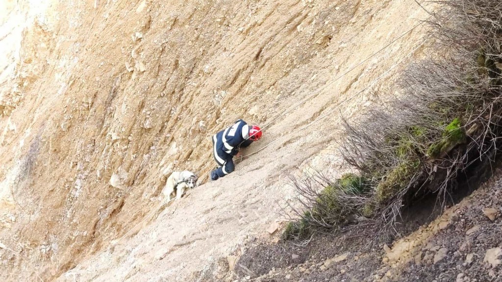 FOTO/VIDEO. Operațiune dificilă pentru pompierii din județul vecin. Au salvat un câine căzut într-o ravenă adâncă de 50 metri