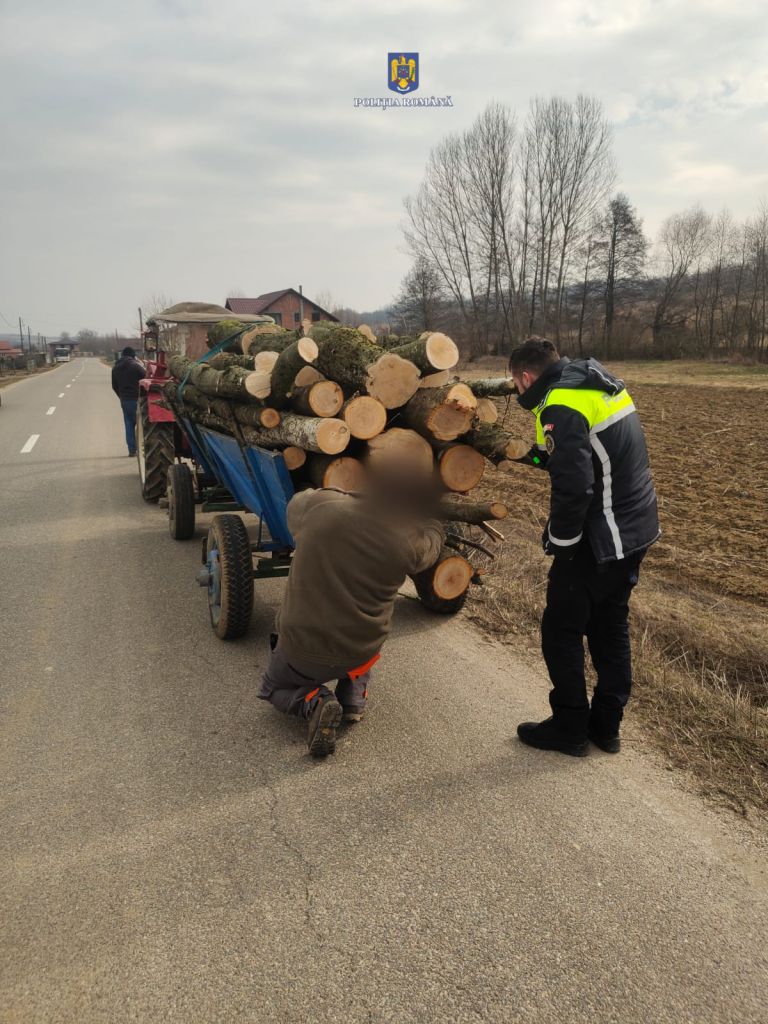 N-au găsit destui copaci acasă și au mers la vecini. Doi sătmăreni s-au ales cu dosar penal după ce au pus pe jar polițiștii din Maramureș