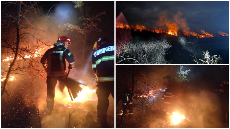 FOTO/VIDEO. Descreierații județului Satu Mare! Au dat foc la păduri, în mai multe localități