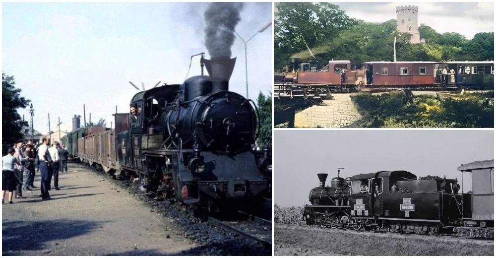 FOTO. Povestea lui Zsuzsi – Trenul cu aburi care a scris istorie pe șinele Sătmarului