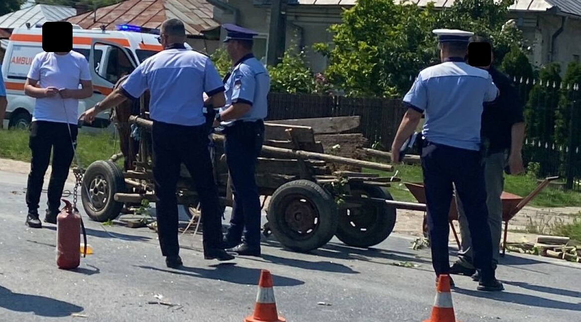 Doi puștani s-au dus la furat cu căruța trasă de cai. Ce au sustras dintr-o fermă