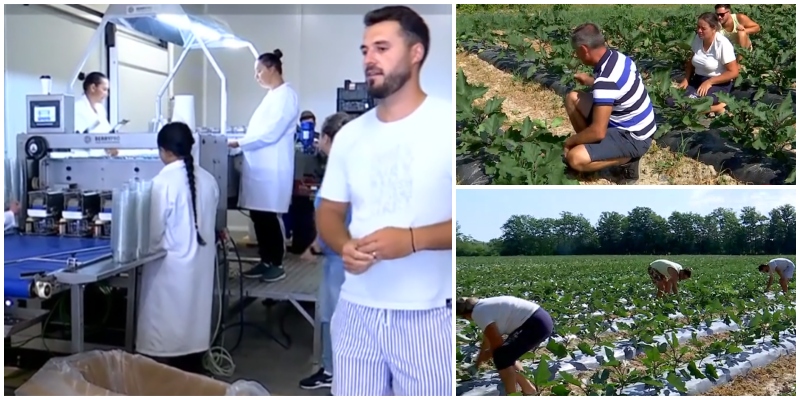 FOTO. Frații care au tras din greu în străinătate și fac agricultură de succes în Satu Mare