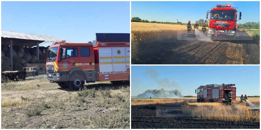 FOTO. Inconștiență totală! Focare de incendiu în tot județul! Ferme și culturi în pericol