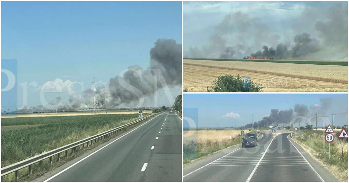 FOTO/VIDEO. Incendiu de proporții între Carei și Moftin: zeci de hectare cuprinse de flăcări