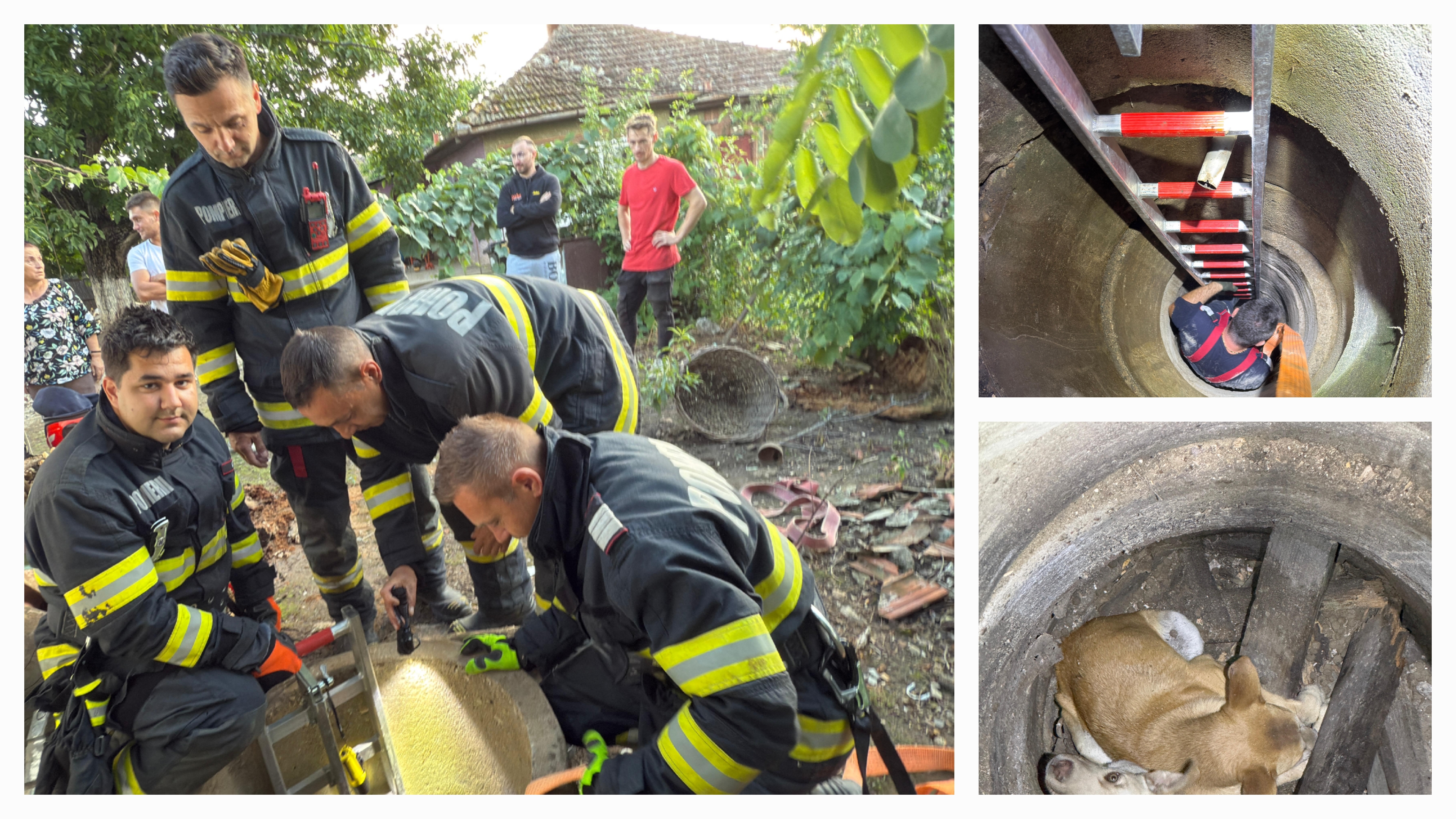 FOTO. Cățeluși salvați de pompierii sătmăreni dintr-o fântână adâncă