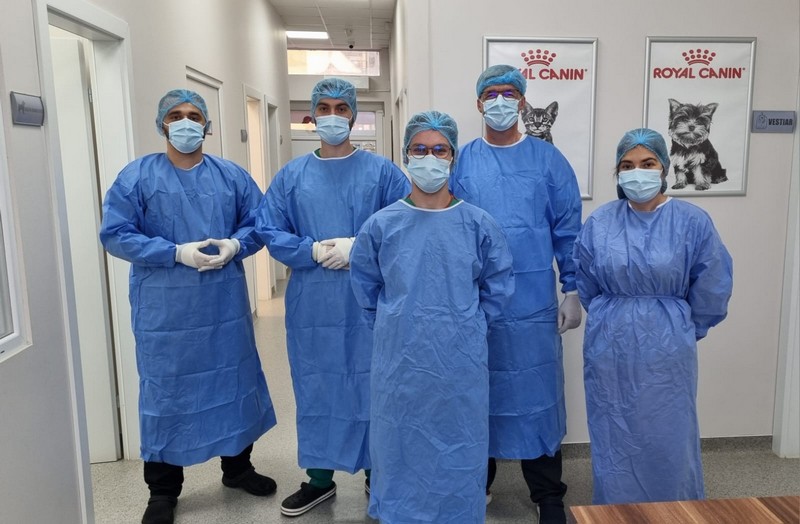 FOTO. Premieră în medicina veterinară din Satu Mare la Sabadoș Vet. Intervenții precise și recuperare rapidă pentru blănoși