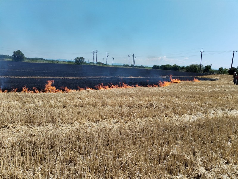 Hectare de vegetație, cuprinse de flăcări, în județul Satu Mare. Intervin pompierii