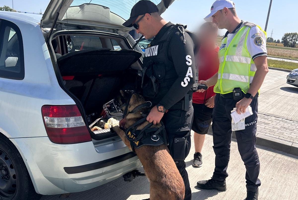 Razii de amploare în județul Satu Mare, inclusiv cu mascații, pe șosele