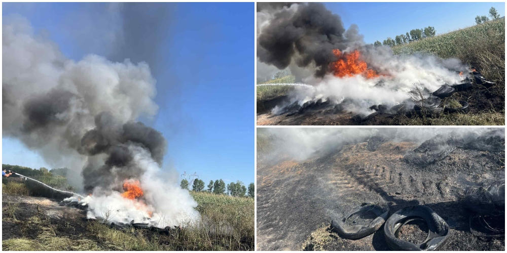 FOTO. Incendiu de vegetație extins la o fermă din județul Satu Mare