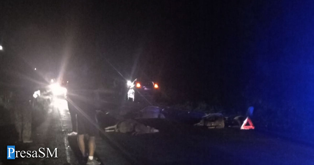 accident dn19 carei satu mare oi2.jpg