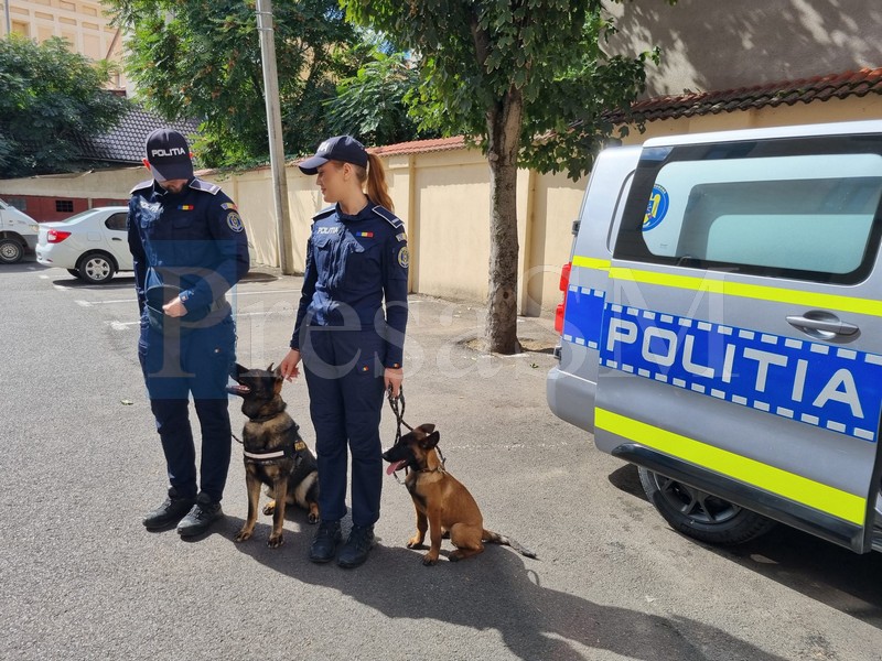 FOTO/VIDEO. Birou K9 la Poliția Satu Mare. Cine sunt cei trei patrupezi care ajuta la prinderea infractorilor