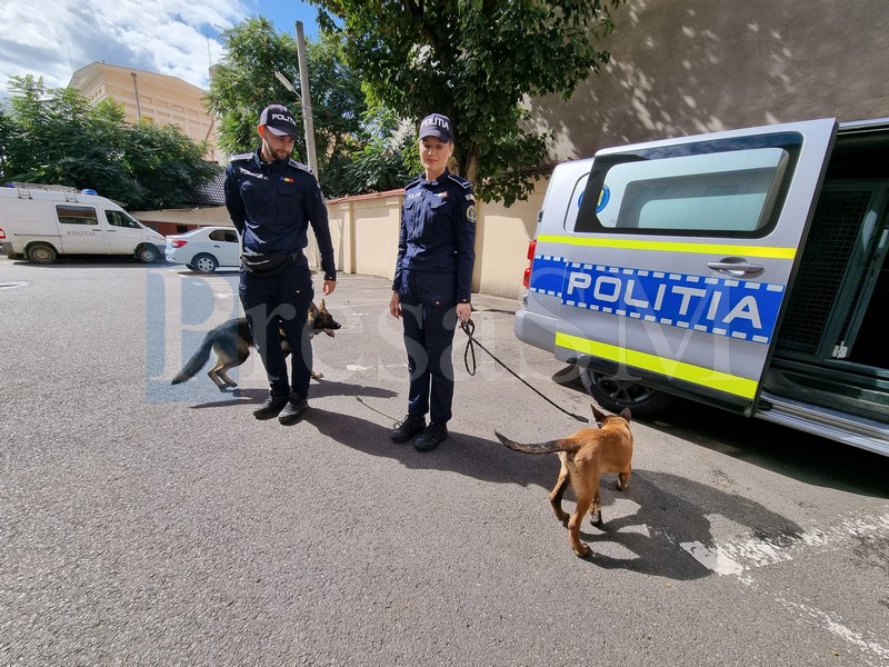 K9 Satu Mare2.jpg